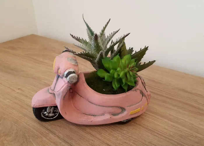 Mariloo * Σπλιτ